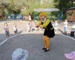 img (4)